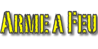 Armes &agrave; feu